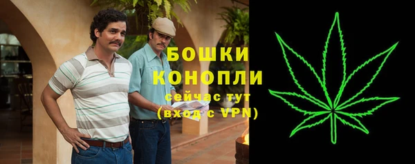 молекула духа Краснотурьинск